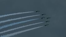 Royal Saudi Hawks