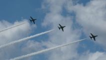Royal Saudi Hawks